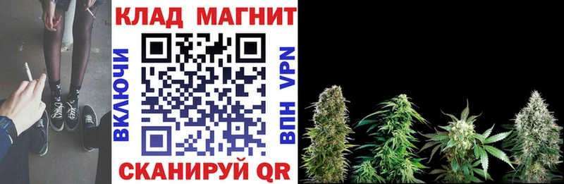 Как найти наркотики Ржев КЕТАМИН Амфетамин Галлюциногенные грибы Каннабис СК