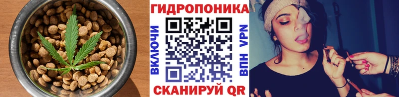 купить наркотик  Ржев  Еда ТГК конопля 