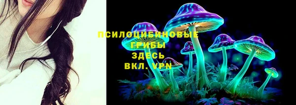 прущая мука Алексин