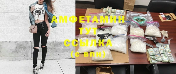 мяу мяу мука Аркадак