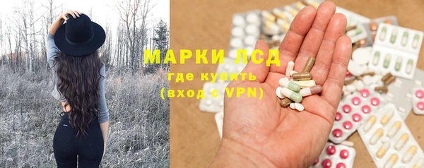 мяу мяу мука Аркадак