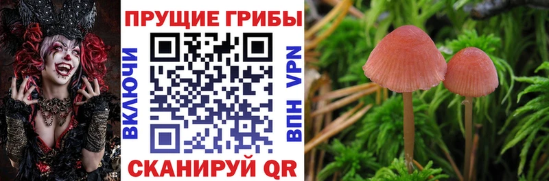 Галлюциногенные грибы ЛСД  ссылка на мегу ТОР  Ржев  купить  